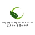 重庆老果农合作社的LOGO