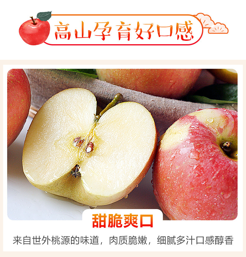 福瑞达 陕西现摘冰糖心红富士 净重10斤 图2