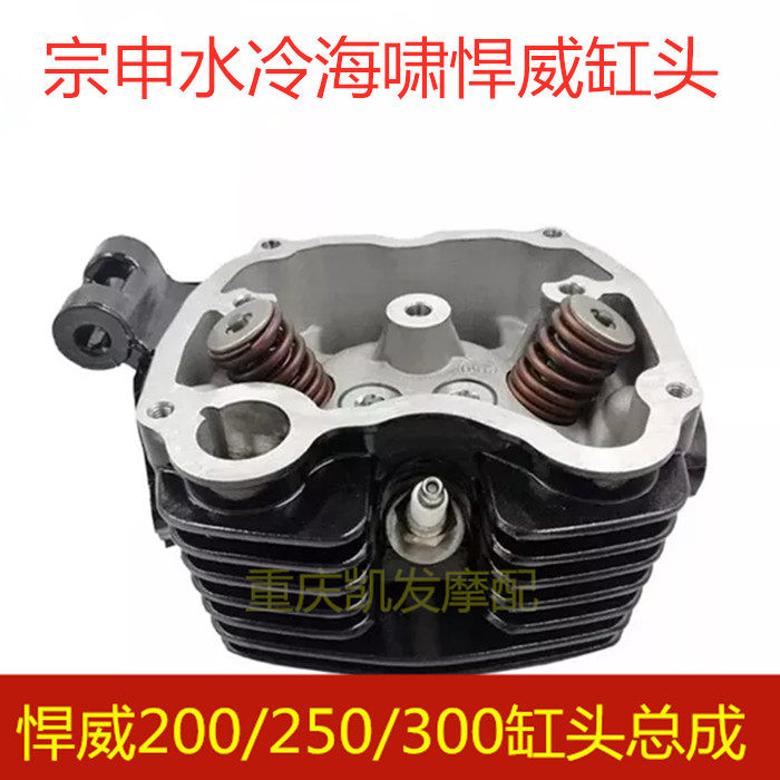 Jiangsu Zongshen water-cooled tricycle accessories 250 200 300 Cylinder head assembly Tsunami Hanwei valve special price