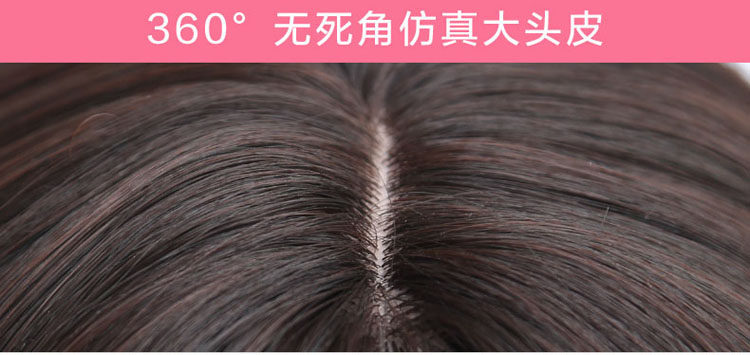 Perruque BASAWIG    Les cheveux longs - Ref 2613974 Image 10