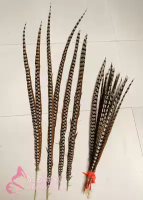 Special drama supplies wild chicken feather pheasant feather pheasant feather feather Peking Opera Troupe special non-connected Ling 50-150cm