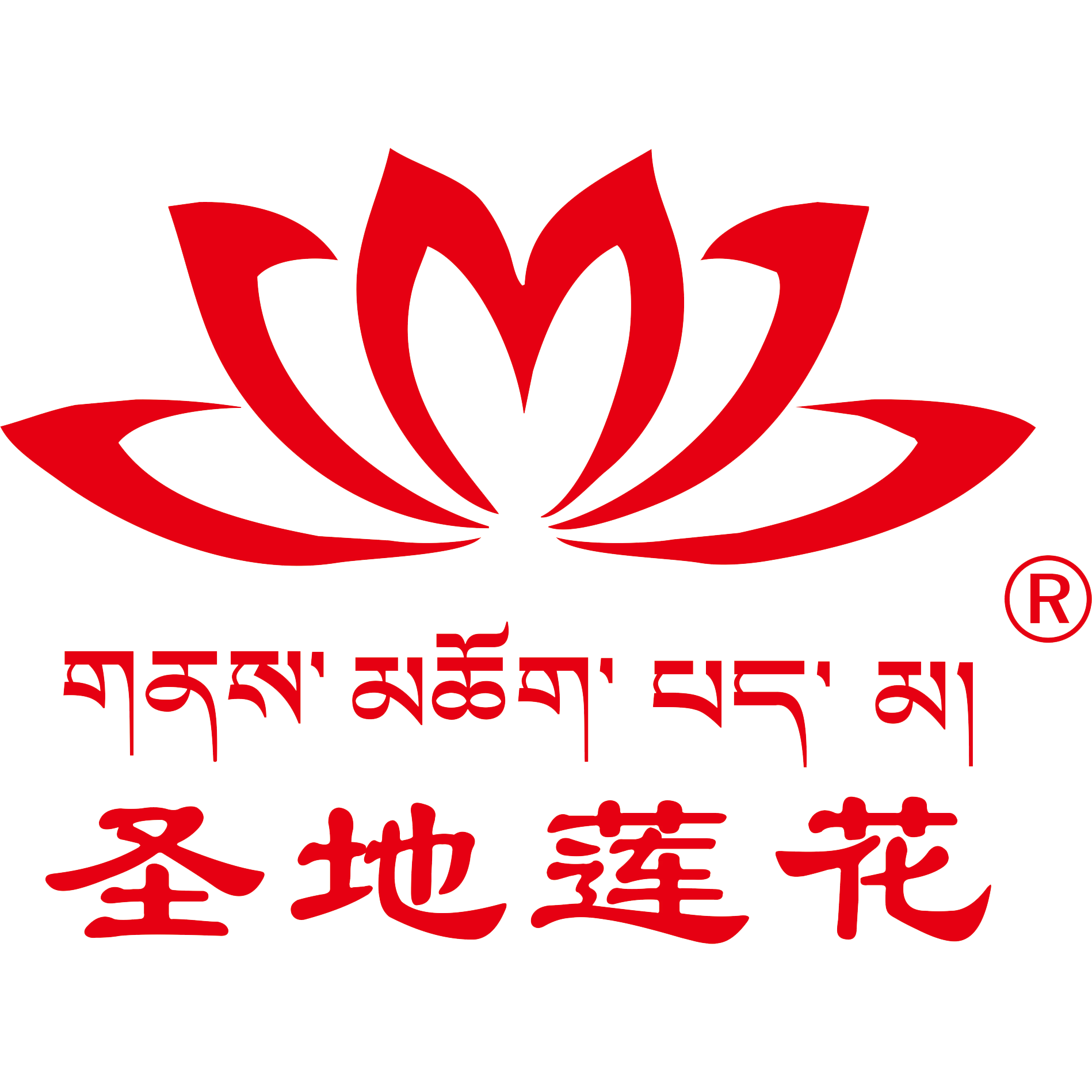圣地莲花牌墨脱石锅