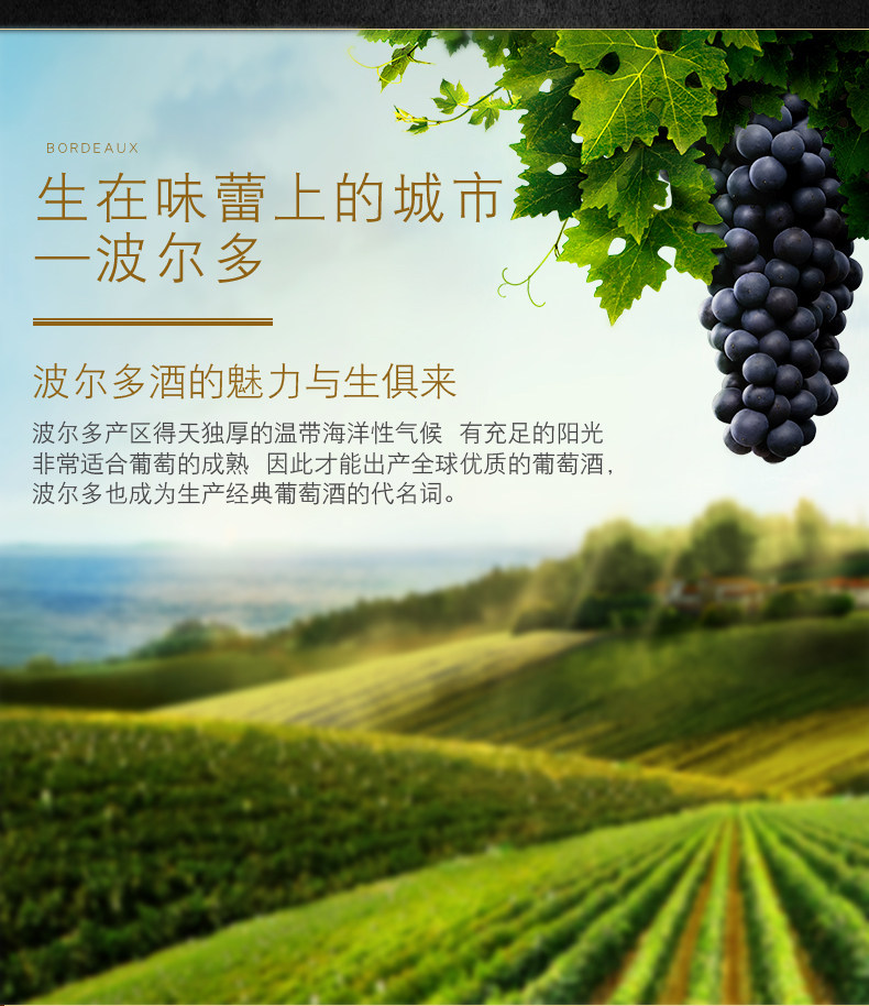 法国原装 麦德龙 银麓谷 波尔多AOC产区级干红葡萄酒 750ml*2瓶 图5