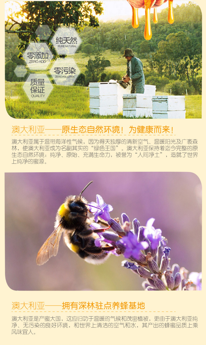 澳洲国民蜂蜜 Capilano 康蜜乐 原生态蜂蜜 500g*2瓶 图2