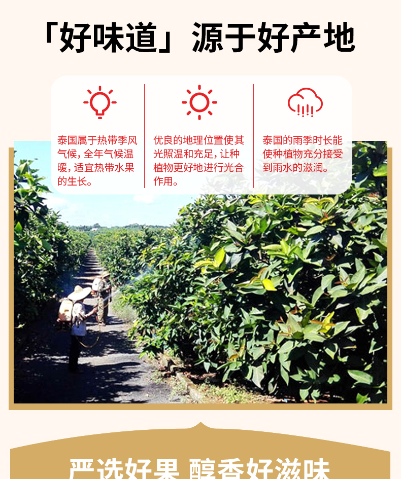 临期特价！50gx4包 麦德龙 Fruitking鲜果干冻干 山竹+榴莲+芒果+香蕉 34.5元包邮 值值值-买手聚集的地方