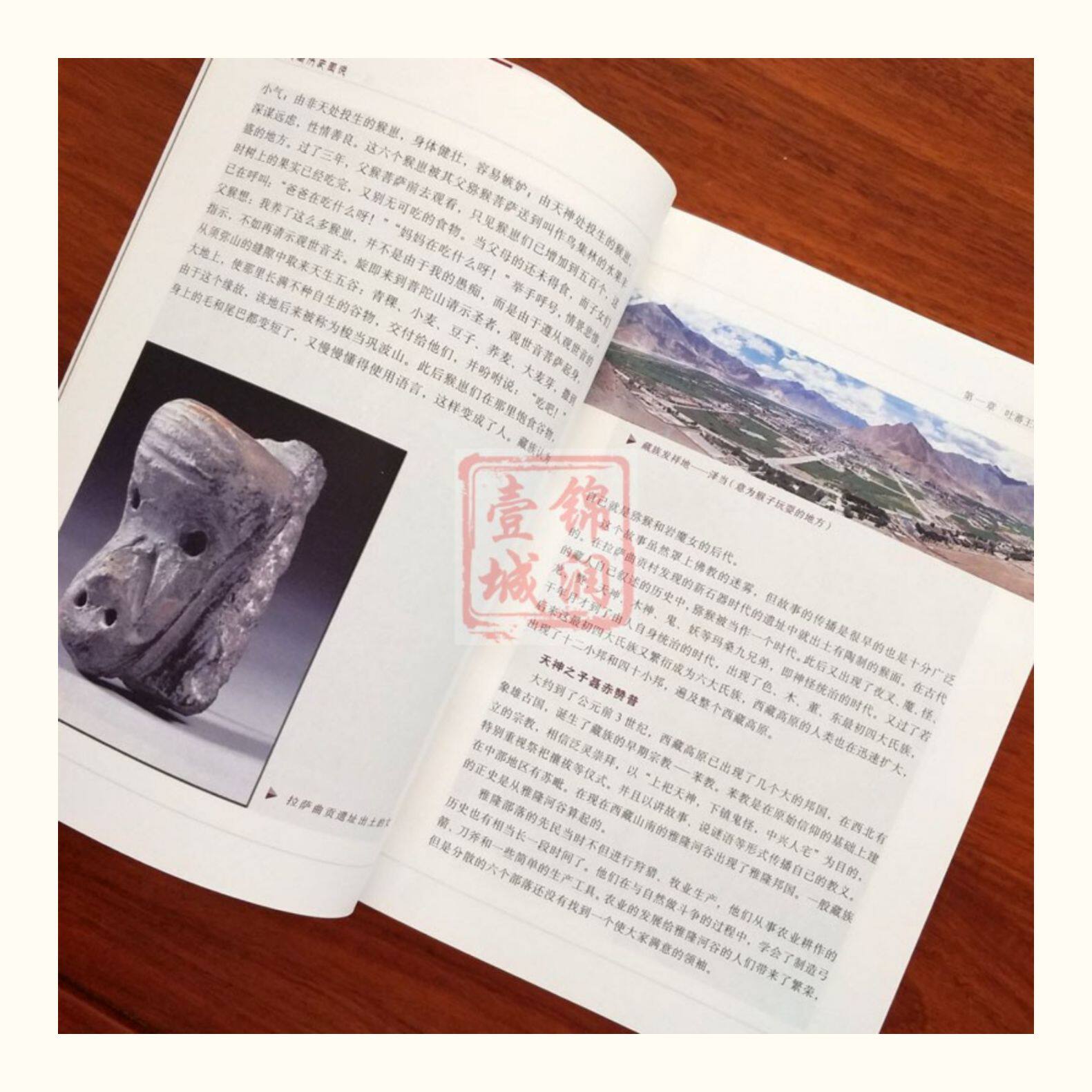 Местные отчеты 西藏历史图说 陈庆英 廖东凡 大量鲜活图片讲述西藏历史故事 介绍英雄史诗 唐卡 壁画 寺庙建筑及饮食 服饰 歌舞戏剧等诸多方面