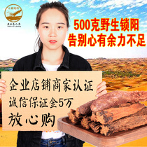 Wild Suoyang Pure wild Inner Mongolia Suoyang Cistanche brewing wine material Brewing tea brewing wine Mens non-special grade