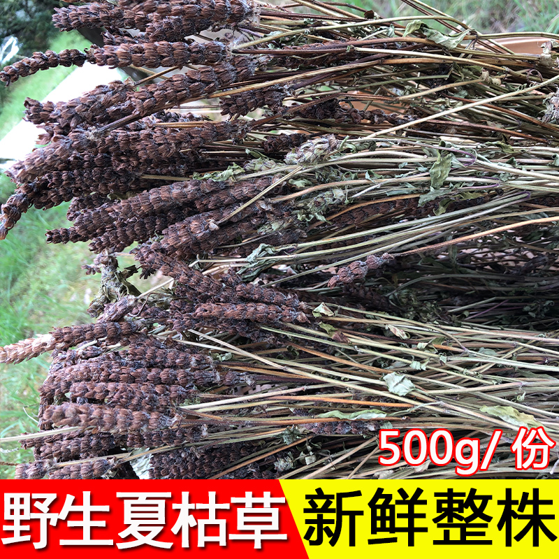 Prunella 500g gram whole wild white-haired Prunella ball tea Xiagu grass ball Chinese herbal medicine summer mushroom ancient grass dry goods