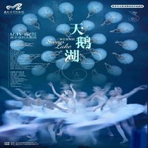 2022 théâtre de danse classique du Central Ballet Swan Lake Nanjing Station Performance Tickets