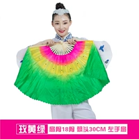 Длина кости 31 см удваивает 30 см. Порошок желтый зеленый левый