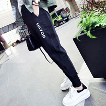 Large size plus velvet sports pants womens spring and autumn 2022 new thickened loose fat mm beam feet Korean version of casual harem pants