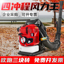 Ruier gasoline hair dryer greenhouse snow blower high-power car Forest backpack wind extinguishing machine
