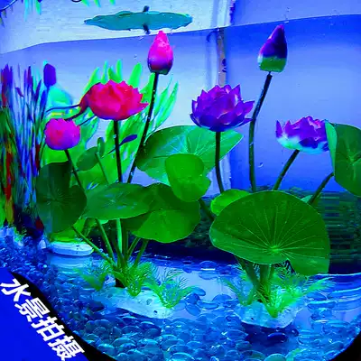 Crayfish farming water tank landscaping package bottom sand aquarium world fish tank ornaments tree real water grass turtle plant sand