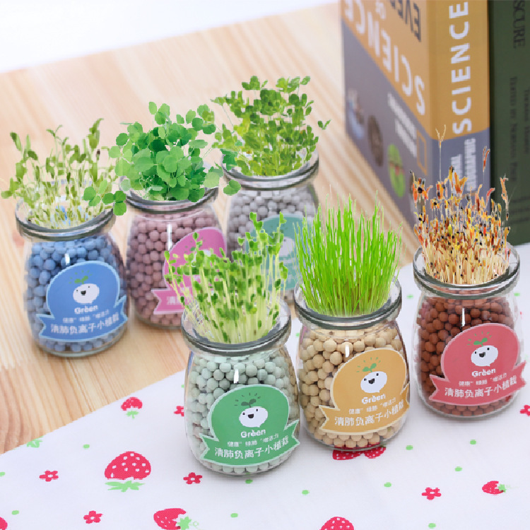 Creative plants negative ion hydroponic potted office desktop radiation-proof hydroponic pottery carbon fans of your small potted plants