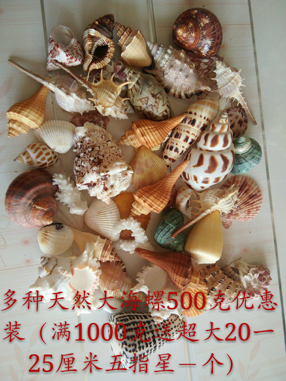 DI Ya Natural Sea Scarlet Fish Bowl Decorated Station Swing Roll Beach Surrounded Crab Kit Star Gift