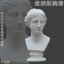 Venus bust