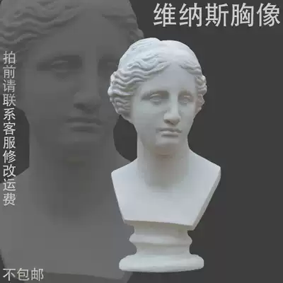 Venus Bust