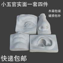 54cm Five Functions Gypsum Statue Actual Art Teaching Tool Ornament Decoration David Five Functions Eye Ears Nose Mouth Sketch Still Life Sketch Sketch