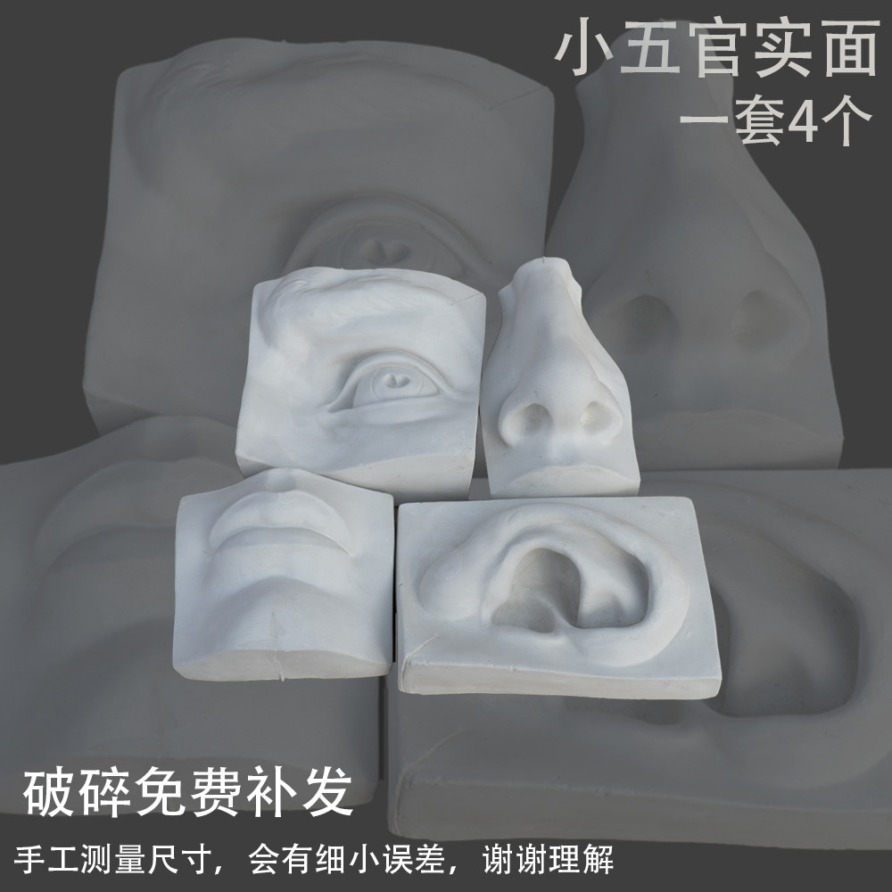 Five-official facts men and women's hands and female skulls anatomy skulpture shaped fittings studio