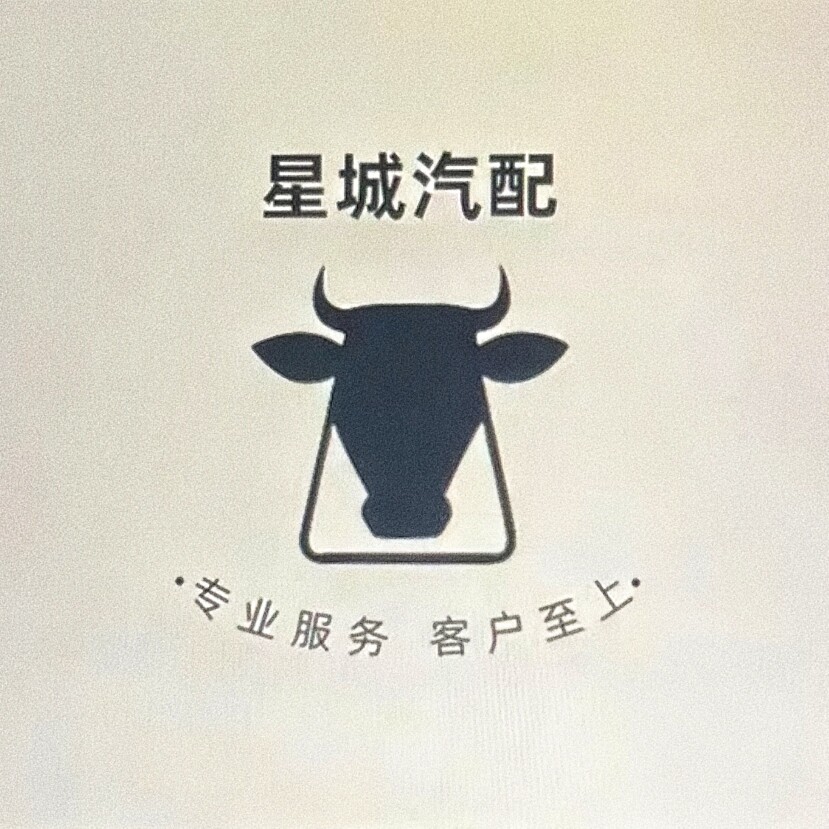星城汽配的LOGO