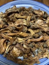 Wild tea seed core soaked in water in the deep mountains of Guangxi the hometown of longevity original ecological tea fruit core tea seed core camellia seed core