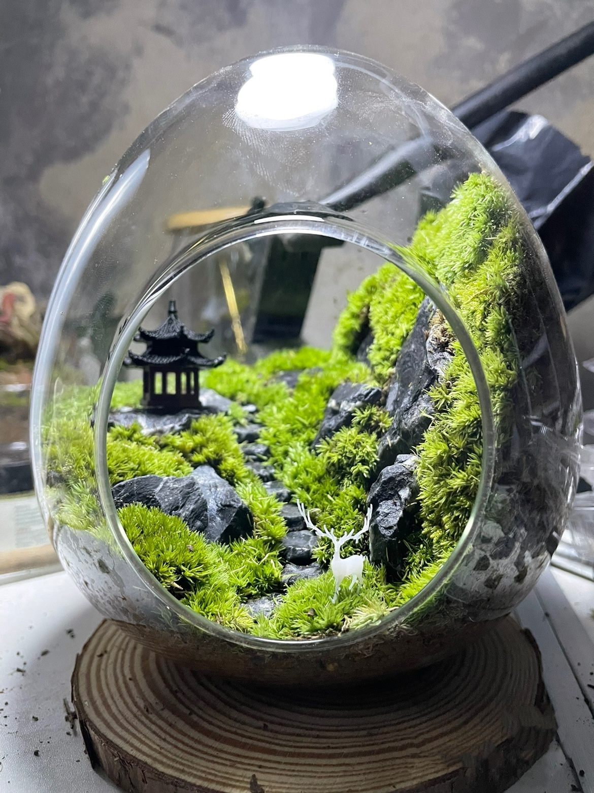 Moss Microscape Building View Eco Bottle Desk Green Planting Creative Plant Indoor Bonsai Desk Pendulum for Nice Hair-Taobao