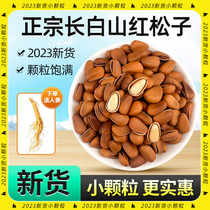 2023 new goods Northeastern Jilin Changbai Mountain wild specialty grade hand-peeled original open red pine nuts non-extra large particles