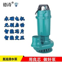 Marine 12v DC micro submersible pump 24v stainless steel DC pump 60V48v universal household water pump Detao