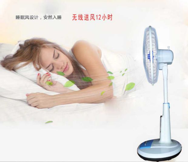 quạt điện máy chợ lớn Quạt không dây có thể sạc lại 12 V volt DC tiết kiệm năng lượng biến tần điều khiển tốc độ điều khiển từ xa 5 lá im lặng quạt sạc điện thoại di động - Quạt điện quạt hơi nước loại nào tốt
