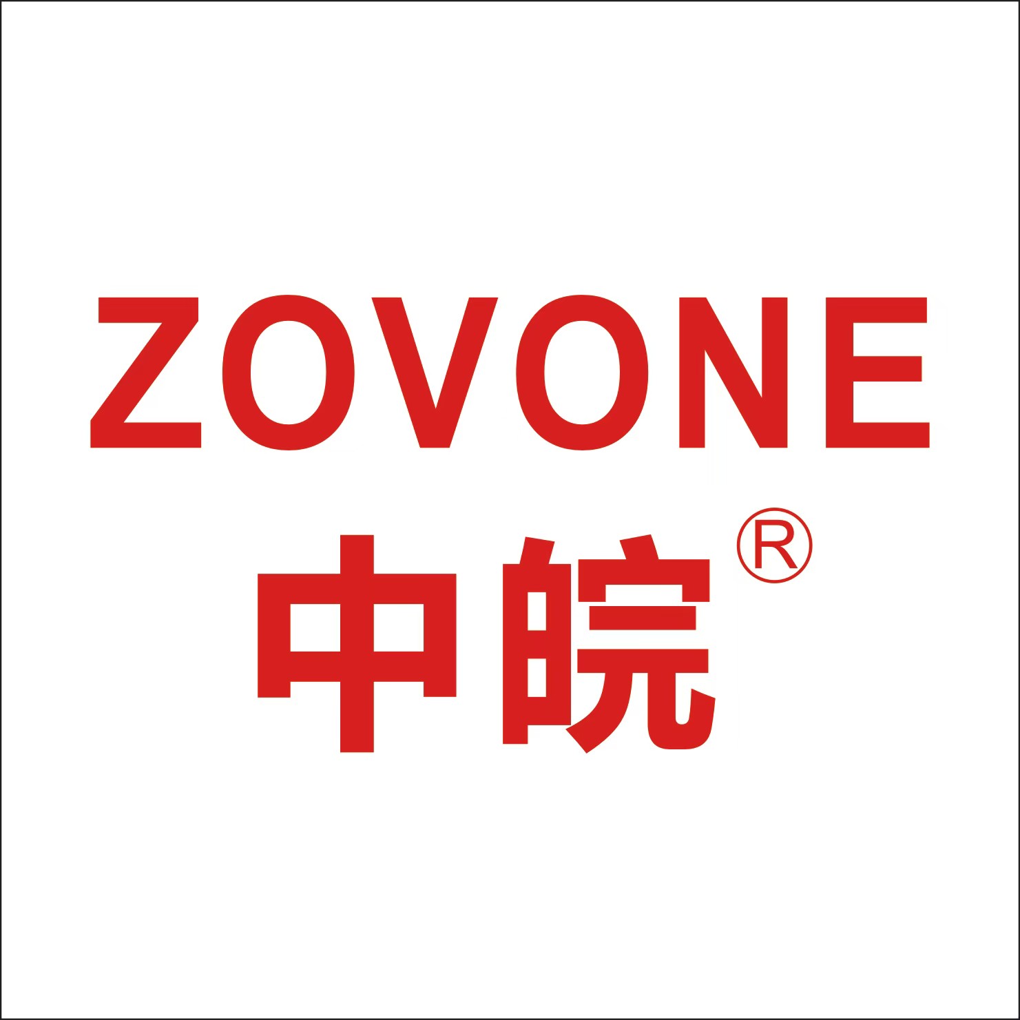 中皖科技企业店的LOGO