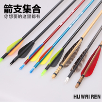 Bow and arrow branch boglass mixed carbon arrow with arrow tail real plume outdoor willow arrow and arrow leaven against archery archery arrow