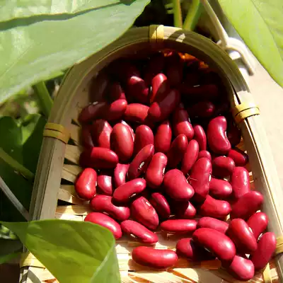 Red kidney beans 500g farmhouse self-produced this year fresh red kidney beans big kidney beans boiled porridge braised electronic pot porridge big red beans