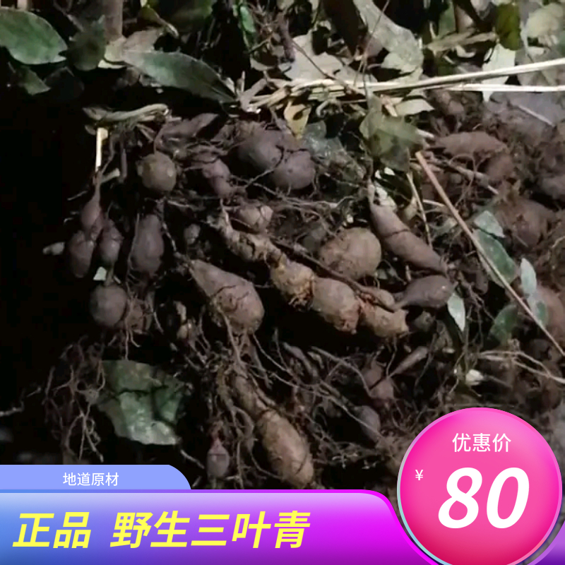 Zhejiang wild clover green Chinese medicinal material gold thread hanging cucurbit silk thread hanging golden bell