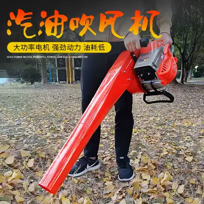 Portable greenhouse snow blower wind fire extinguisher forest fire blower Road gasoline hair dryer blowing leaf dust