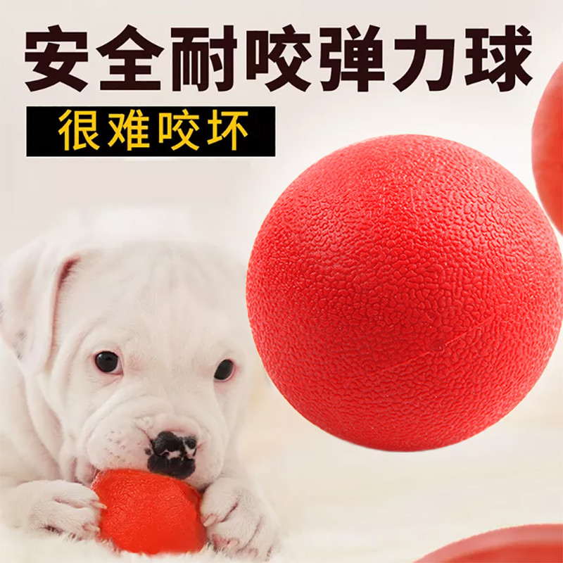 Pet Dog Toy Rubber Ball Biting Tour Training Solid Jump Ball Teddy Gold Hairy Dog Training Dog Supplies