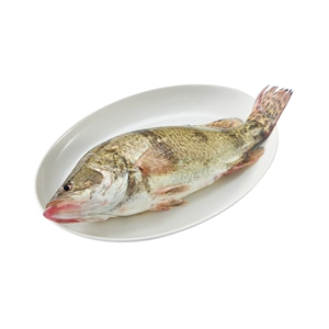 Fresh Guiyu 400-500G/полоса