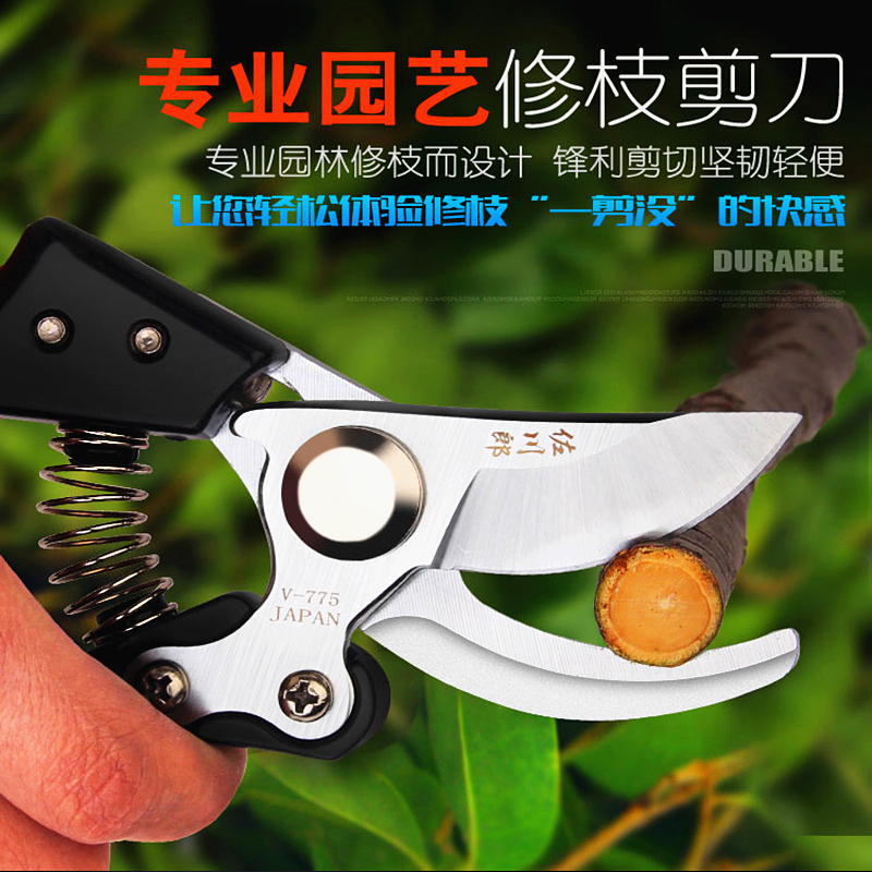 Cut Branches Big Scissors Garden Flowers Cut Vigorously repair fruit trees Cut tree branch Horticultural knife Cut-cut flowers pick up branches Arrow knife