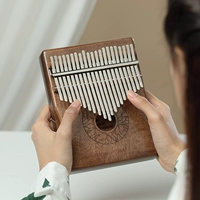 21-тонный стиль ретро-краски (Peach Blossom Core)