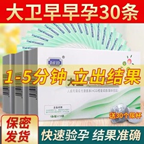 David Pregnancy Test Stick Early Pregnancy 5 Strips 5 Urine Cups Precision Hcg Pregnancy Test Bar Detect Pregnancy Early Pregnancy Test Paper Strip