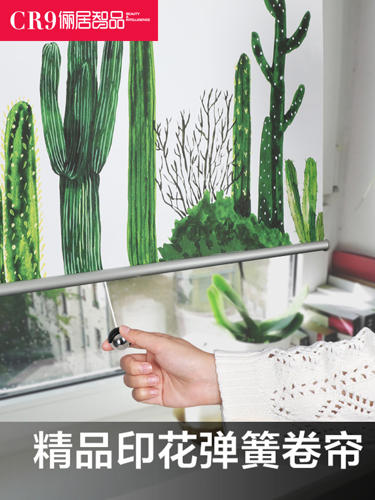 CR9 Liju Zhipin Printed Pattern Spring Roller Curtain Automatic Blackout Office Bathroom Kitchen Curtain