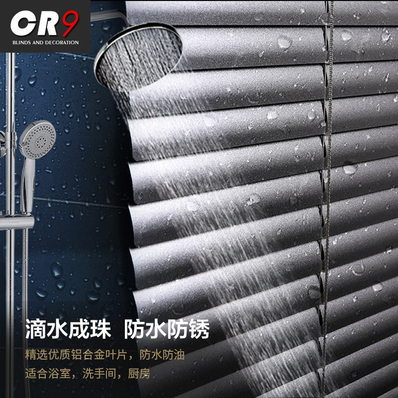 cr9��Ҷ����JW-BY12