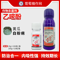 Rfapathimol Grape Strawberry Cucumber Moon Season Tomato Eggplant Multimeat Watermelon White Powder Pesticide Fungicide