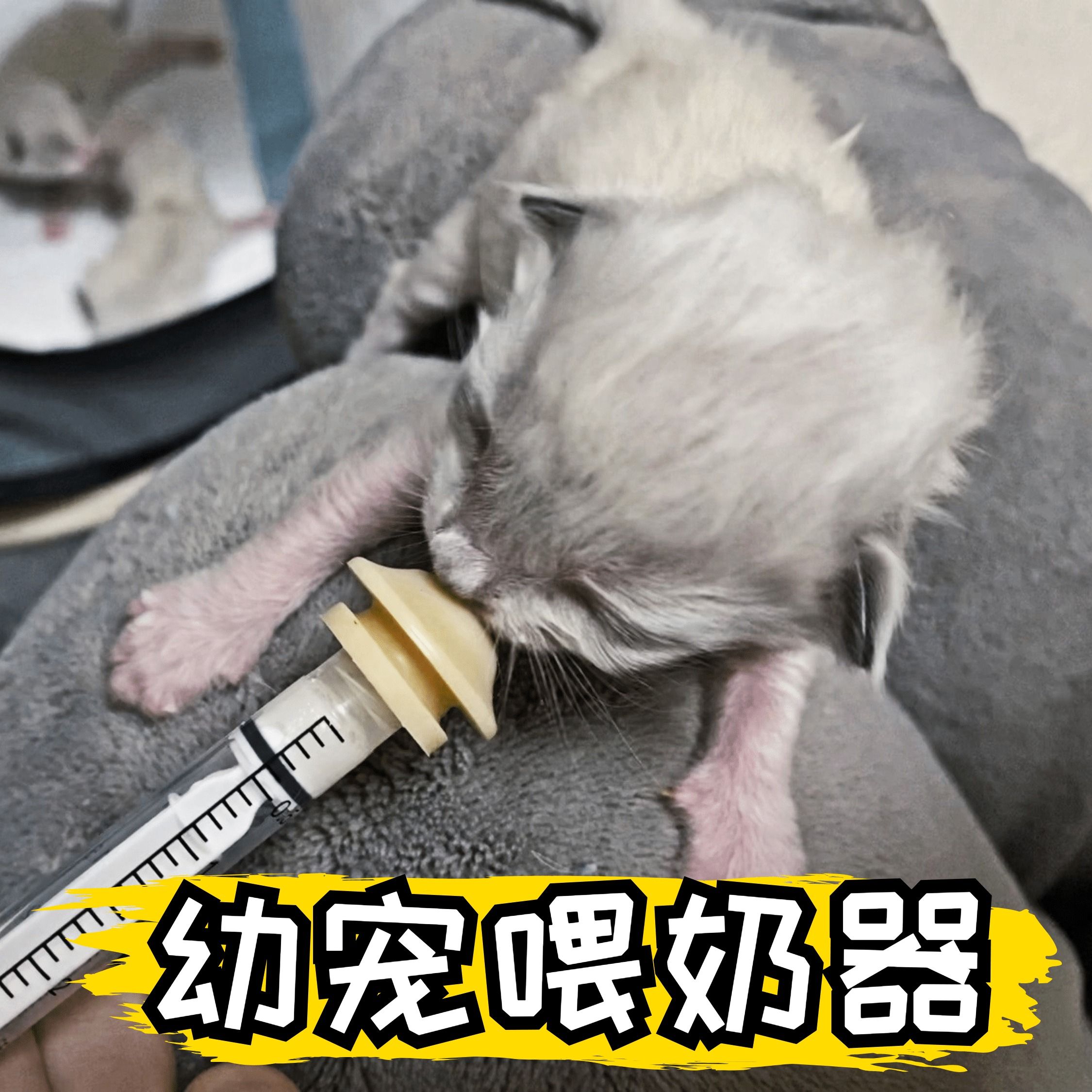 Cat pet kitten feeding device dog special milk bottle American miracle pacifier syringe dropper feeding god bunny