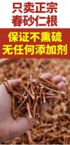 Spring sand Renrootstock Stem Dry Goods Guangdong Yangchun Ringen Root Yang Spring Special Production Sand Ringan Root Saucepan Soup Tea and Stomach Lining