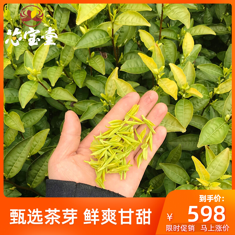 Xinbaotang Jinyun Yellow Tea 2022 New Tea Mingqian Super High Mountain First Picked Yellow Leaf Potato Fragrance 125g Fried Green Yellow Bud Tea