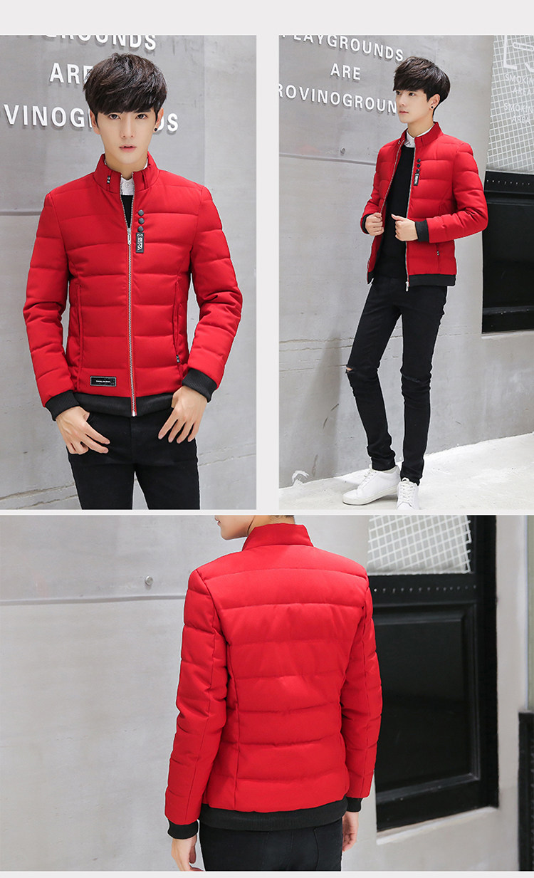 Blouson hiver pour homme   OTHER en Polyester - Ref 3112390 Image 14