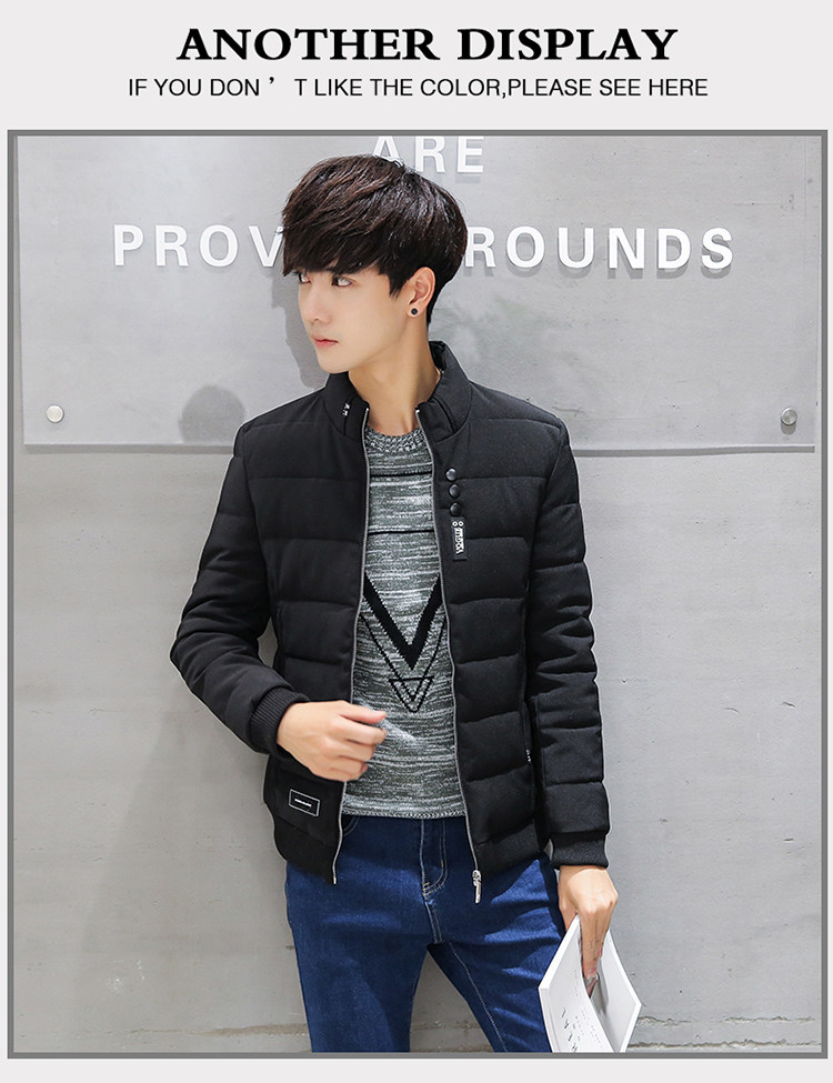 Blouson hiver pour homme   OTHER en Polyester - Ref 3112390 Image 15