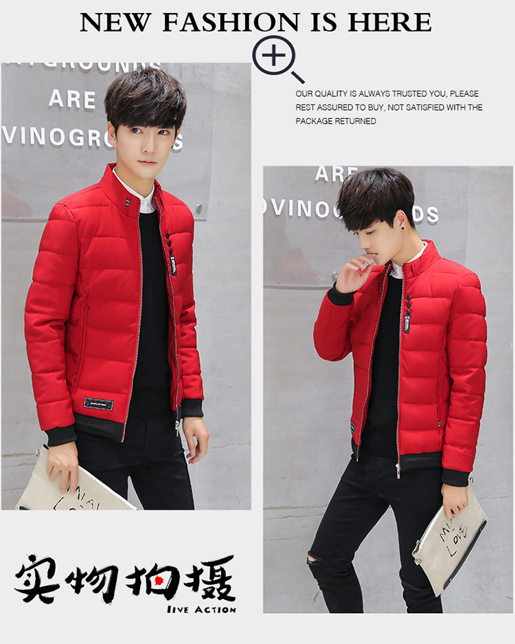 Blouson hiver pour homme   OTHER en Polyester - Ref 3112390 Image 13