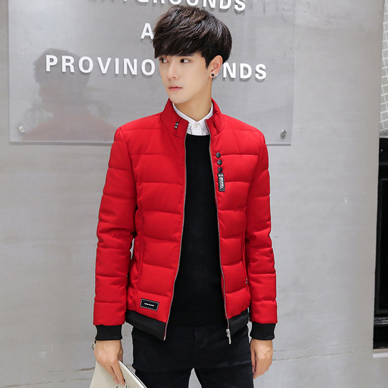 Blouson hiver pour homme   OTHER en Polyester - Ref 3112390 Image 1