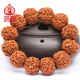 ສາຍແຂນ Rudraksha ຫົກກີບດອກ Nepalese ແທ້ຈິງກັບ dwarf pile ແລະຊີ້ນເຕັມ 20mm ສາຍແຂນຫນັງສີແດງແລະສີເຫຼືອງສໍາລັບຜູ້ຊາຍ